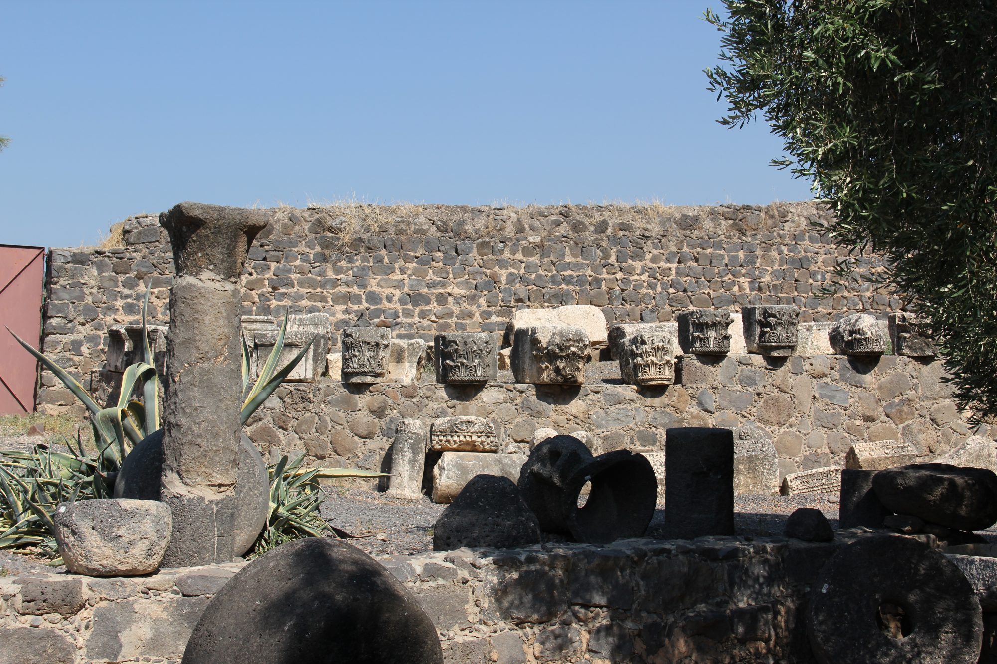 Capharnaum 6